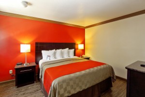 Red Roof Inn - Spacious King Guestroom