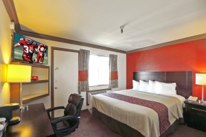 Bright and Well Appointed Superior King Guestroom