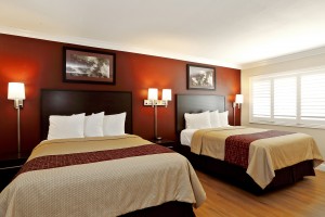 Red Roof Inn - Accessible Room with Modern Decor